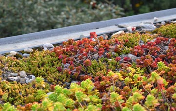 the cost of Chislet Forstal green roof installation