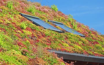 Chislet Forstal living roof systems